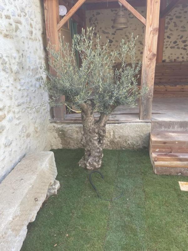 Drome Provencale Maison Familiale Calme Dans Village Valréas Exteriör bild